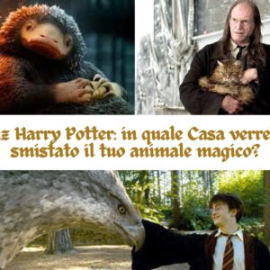 Quiz Harry Potter: in quale casa verrebbe smistato il tuo animale magico?