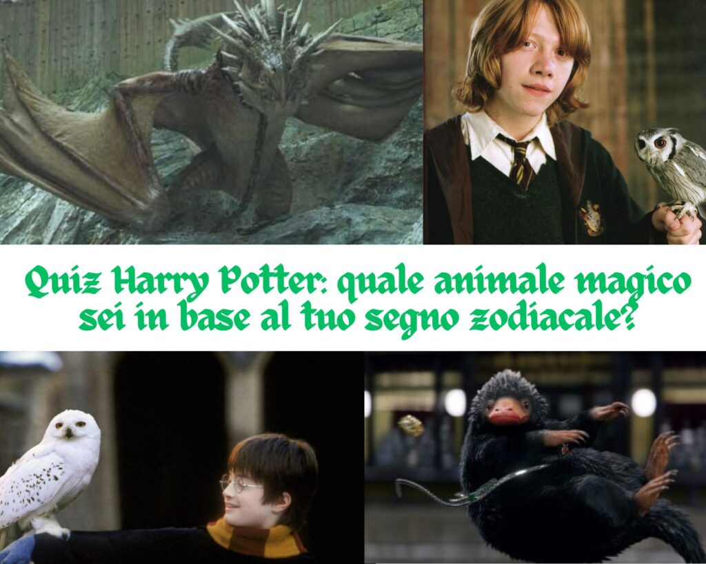 Quiz Harry Potter: quale animale magico sei in base al tuo segno zodiacale?