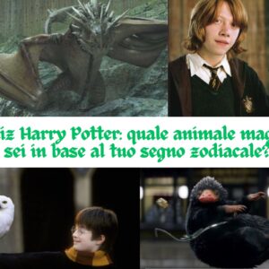 Quiz Harry Potter: quale animale magico sei in base al tuo segno zodiacale?