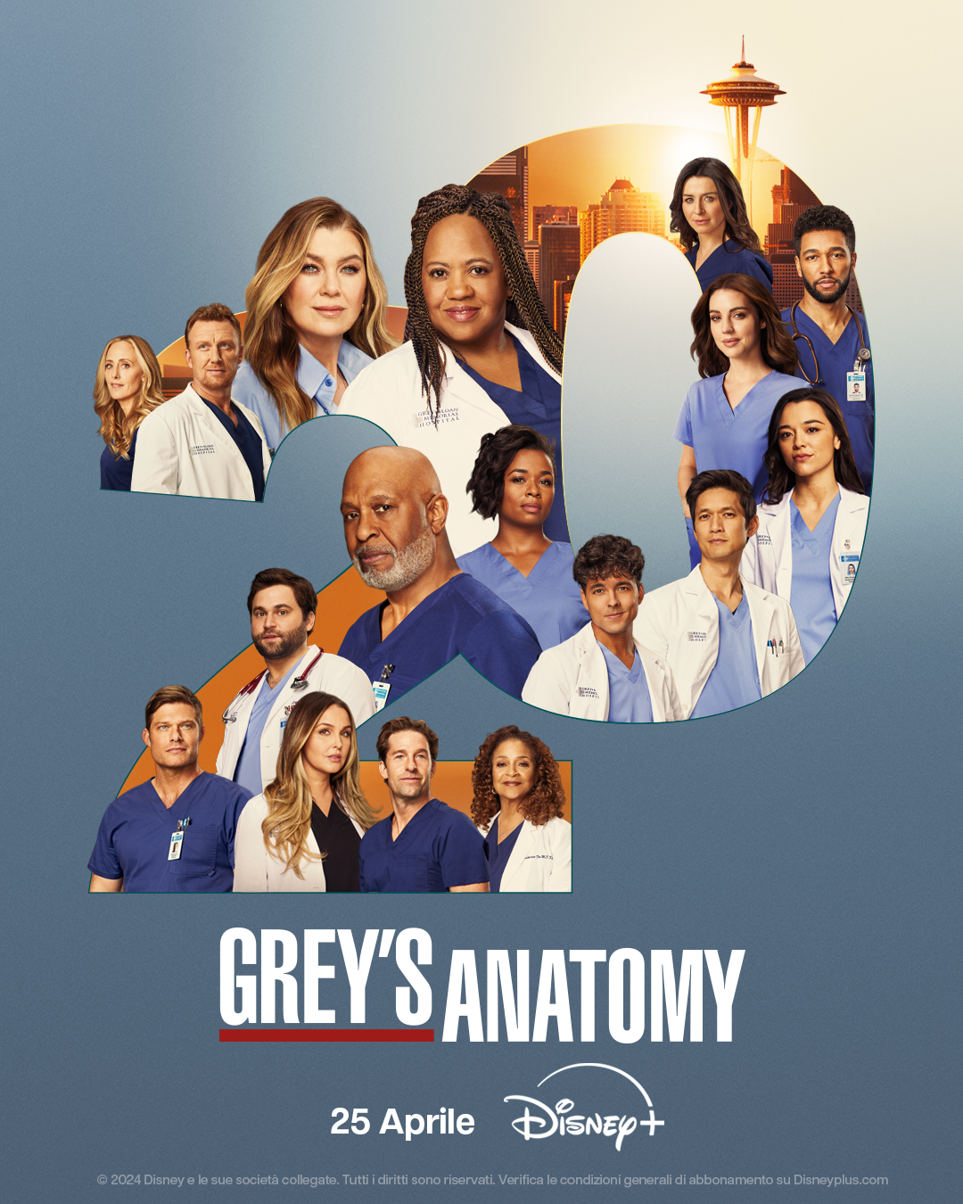 Grey's Anatomy 20.