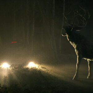 Bambi: The Reckoning – è uscito il trailer del film che espande il Poohniverse