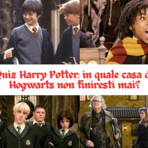 Quiz Harry Potter: in quale casa di Hogwarts non finiresti mai?