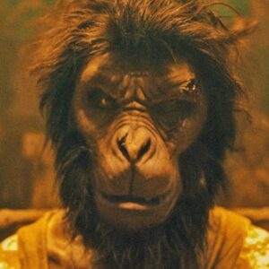Monkey Man: il film d’esordio alla regia di Dev Patel avrà un sequel?
