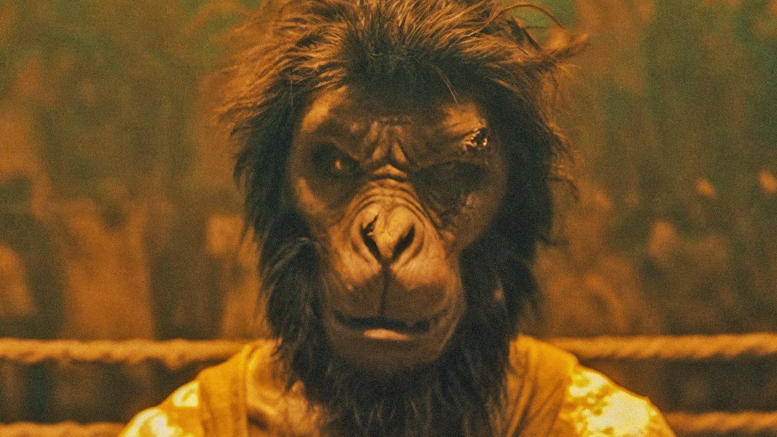 monkey man