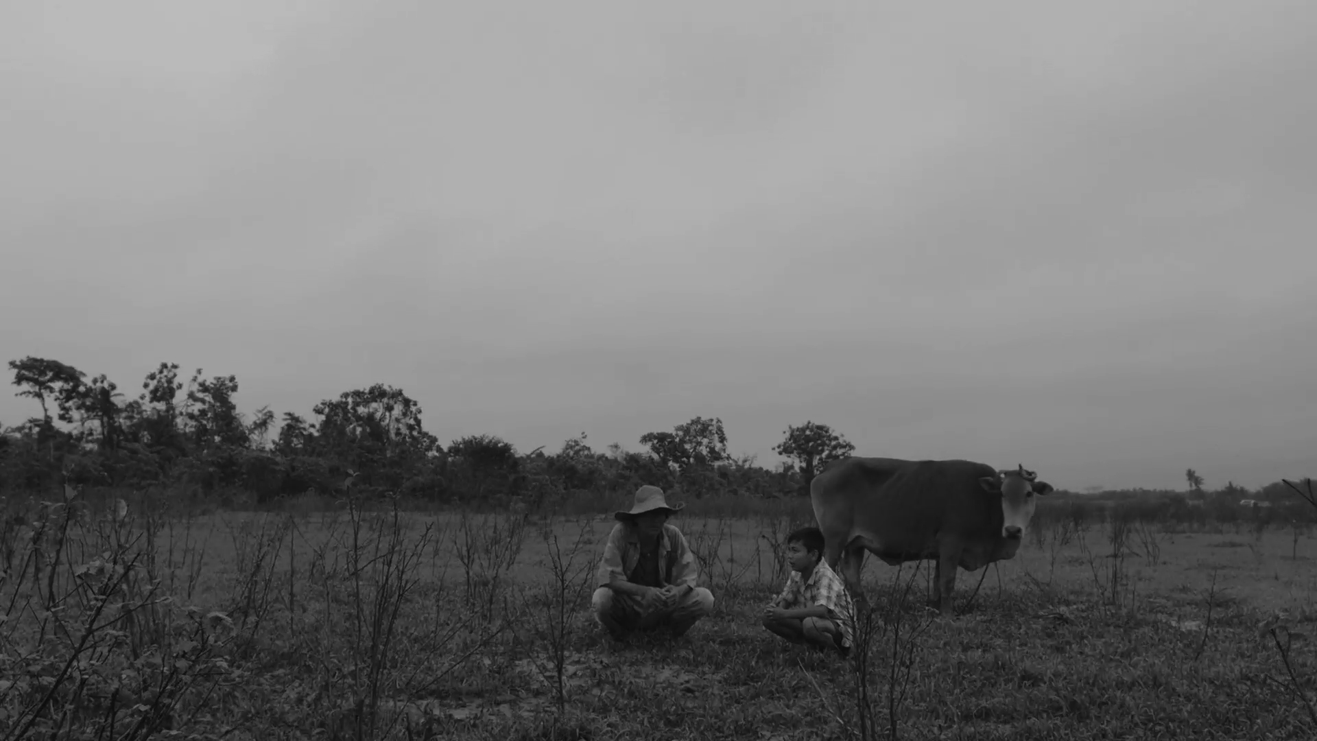 omaggio a lav diaz