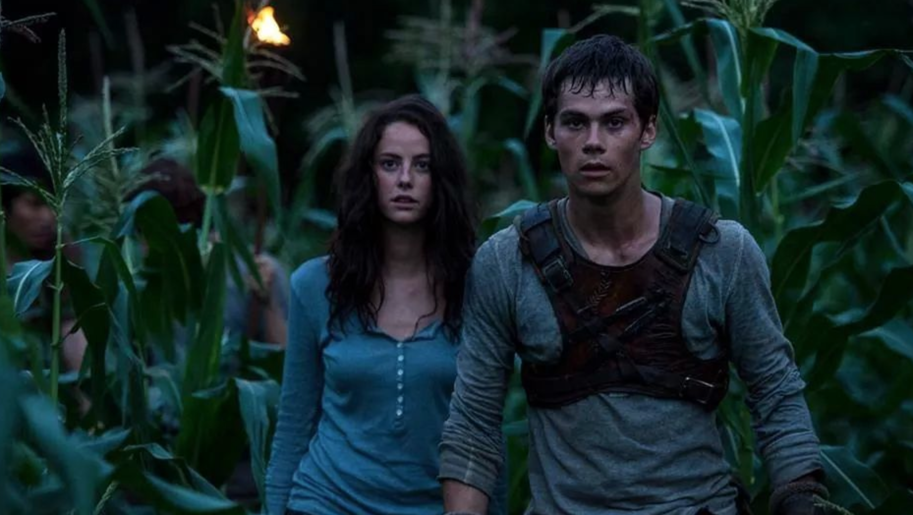 The maze runner.