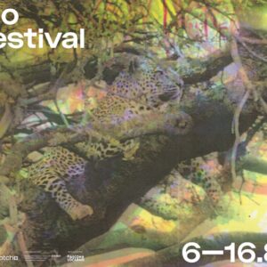 Locarno 78, Wolfgang Tillmans firma il poster della 78ª edizione del Locarno Film Festival