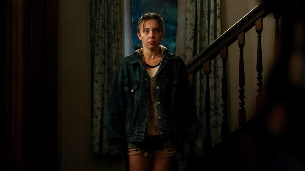 Echo Valley: recensione del film con Julianne Moore e Sydney Sweeney 3 echo valley recensione